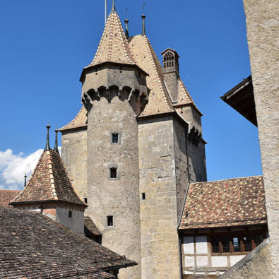 Donjon du Château d'Aigle