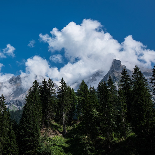 Montagne suisse